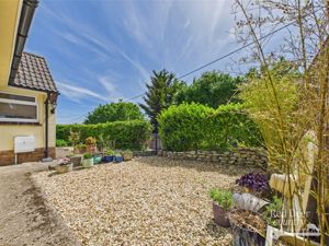 Front Garden- click for photo gallery